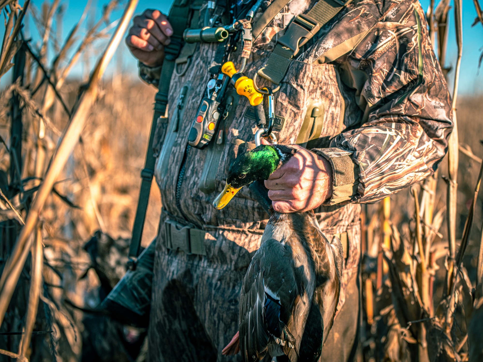 Check out the yellow Hobo Prime Meat Duck Call!