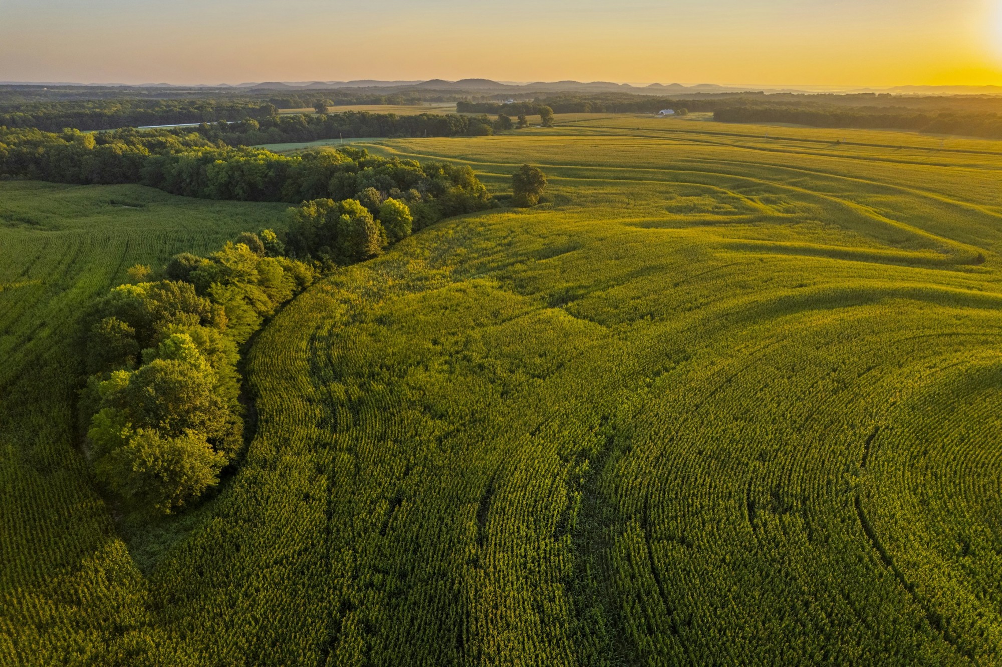 Buying farmland with a strong yield history provides a long-term investment with consistent returns.