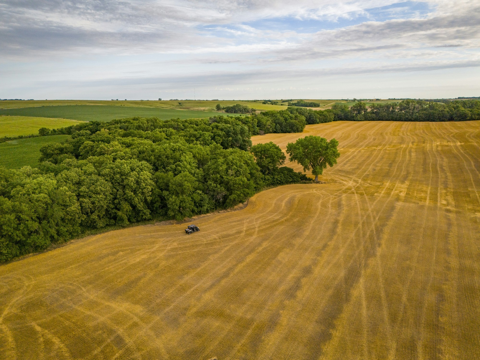 Competitive bidding at farmland auctions can help sellers maximize the price of their tillable land.